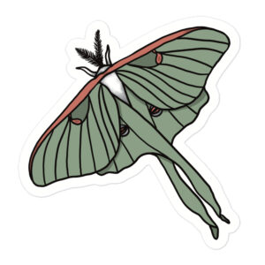 This Moth sticker is printed on durable, high opacity adhesive vinyl.
